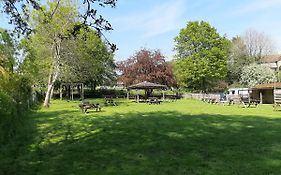 The Pear Tree